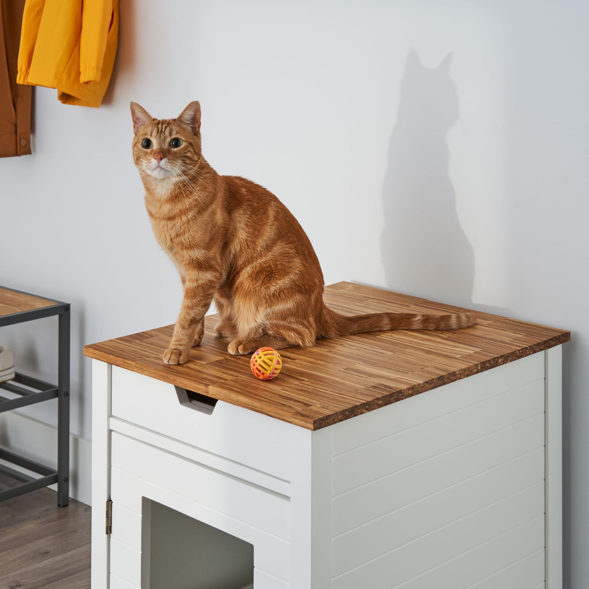 modern litter box end table featuring a chopstick made wood top and a cat sitting on the wood top
