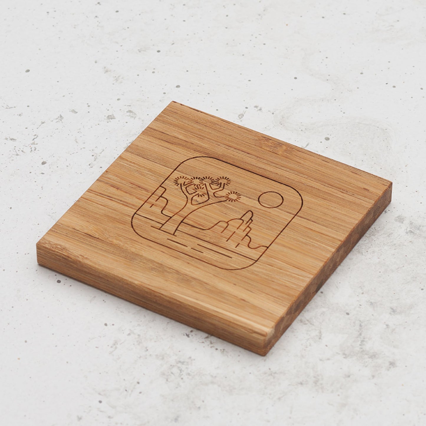 An overhead view of one of the all day every day coasters with an engraved image of Joshua Trees in the middle