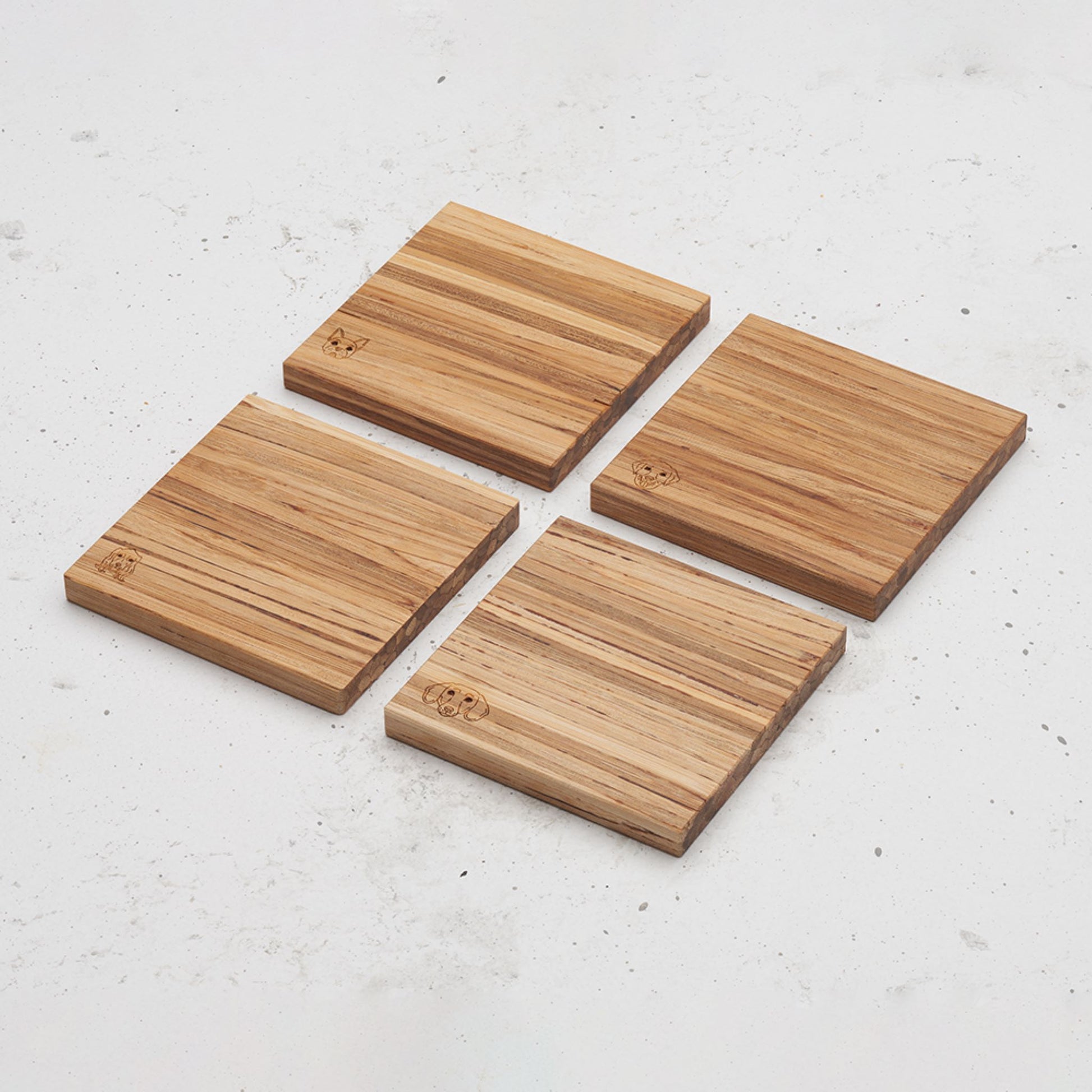 An overhead view of the entire dog themed all day every day coaster set sitting on top of a counter. Each coaster features a different dog's face in the bottom left hand side of the coaster